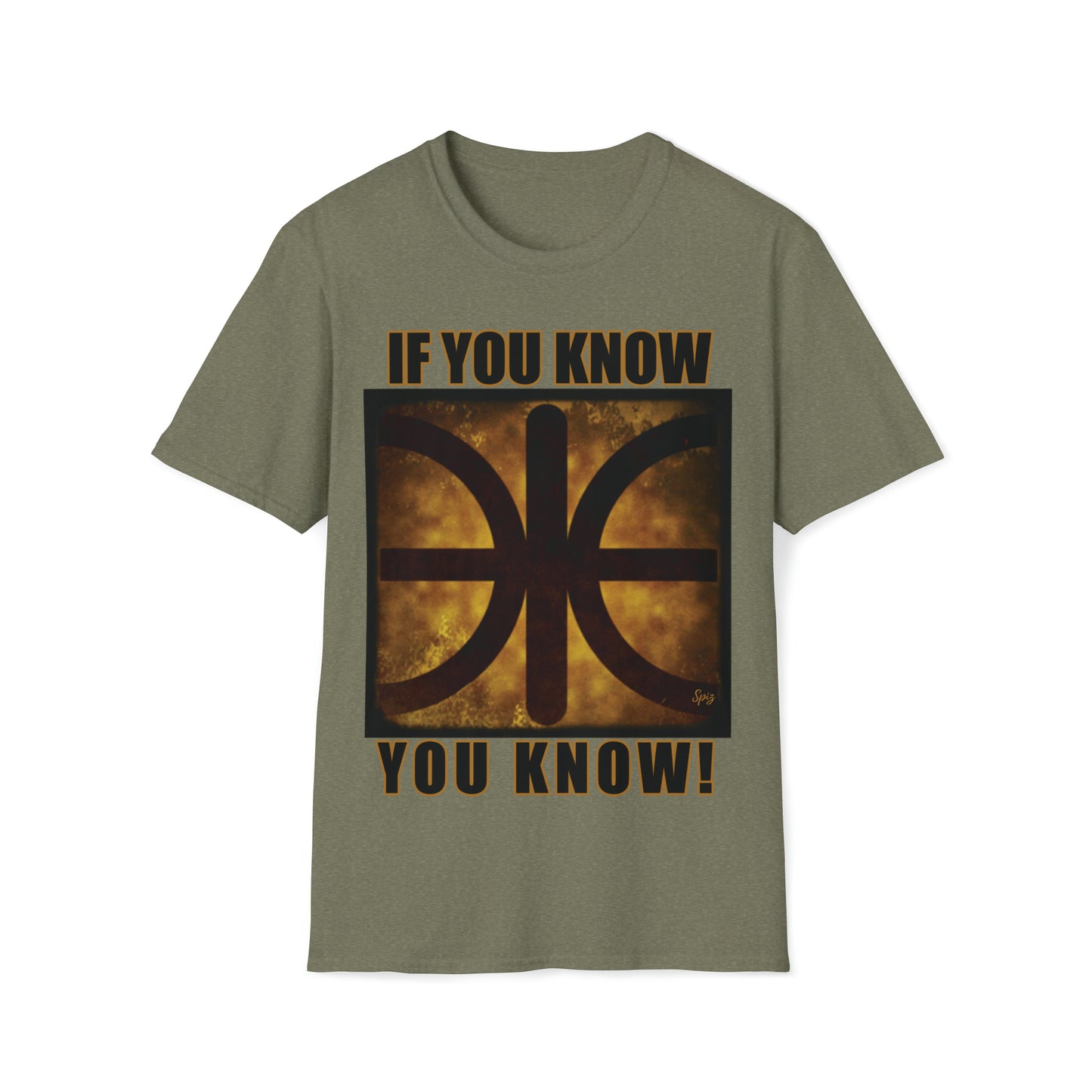 T "EPSILON TEAM"  'If you know, you know' Alien Autopsy Unisex Softstyle T-Shirt