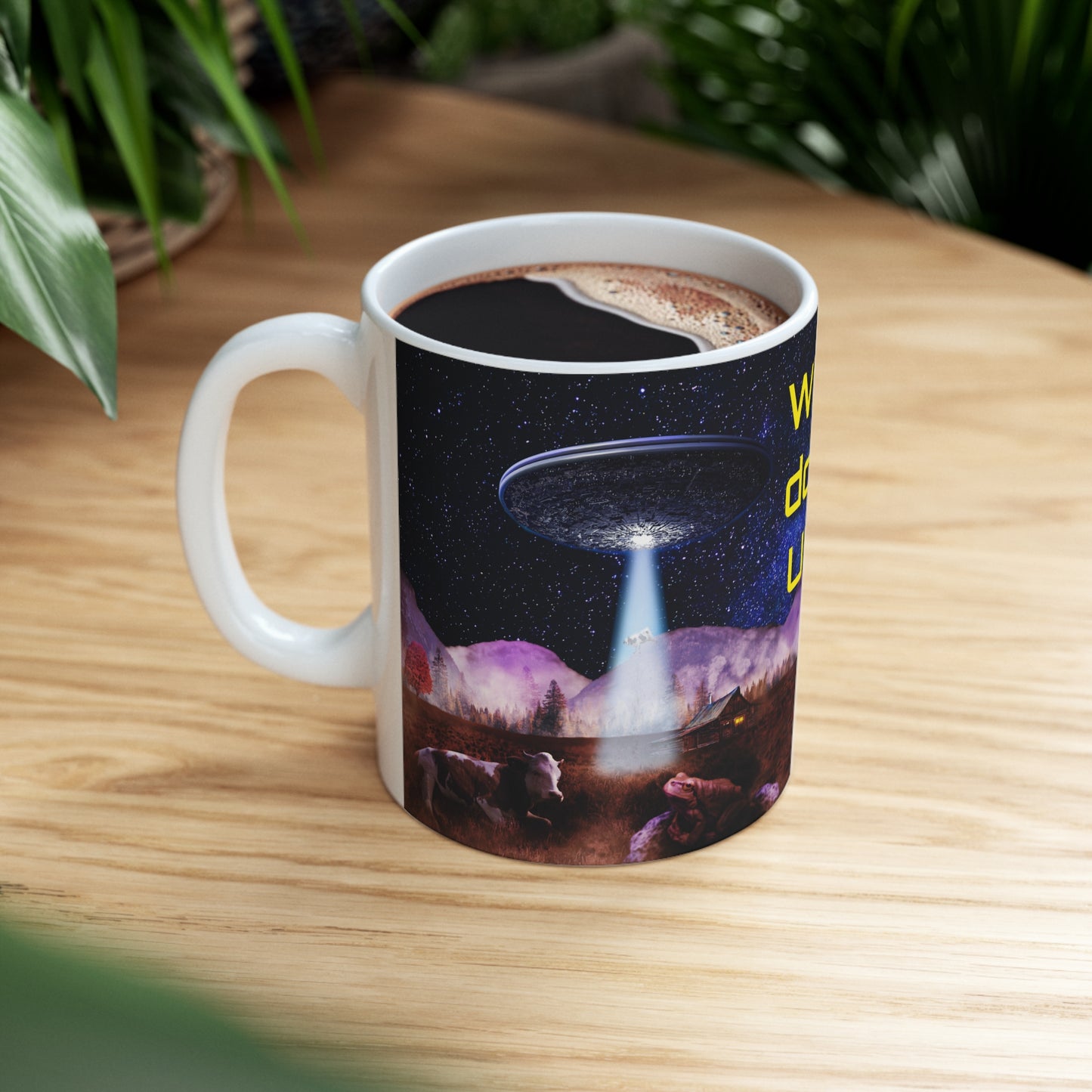 MUG: Why Don't UFO Ceramic Mug 11oz