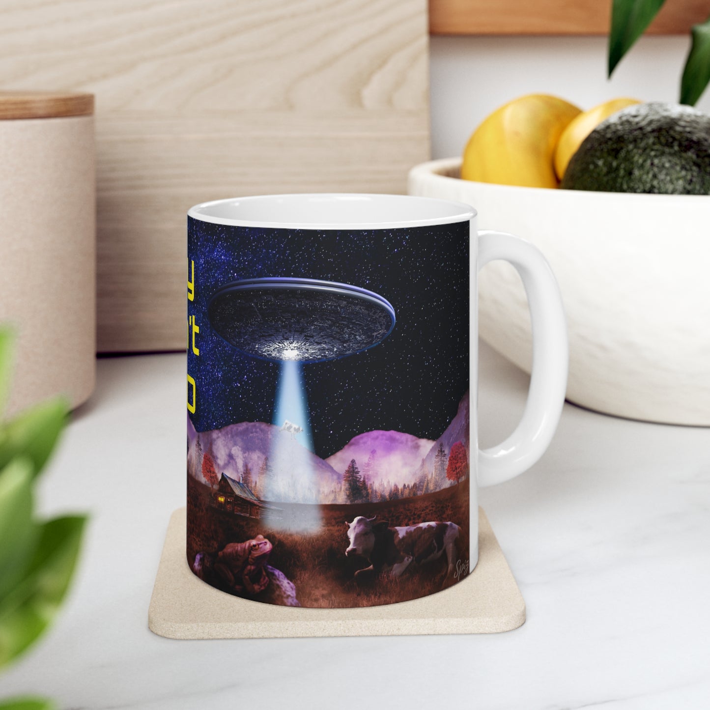 MUG: Why Don't UFO Ceramic Mug 11oz